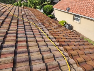 Tile roof with algae and staining before cleaning — Sarasota FL